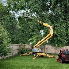 Best Arborist Consultation Services  in Yorktown, IN